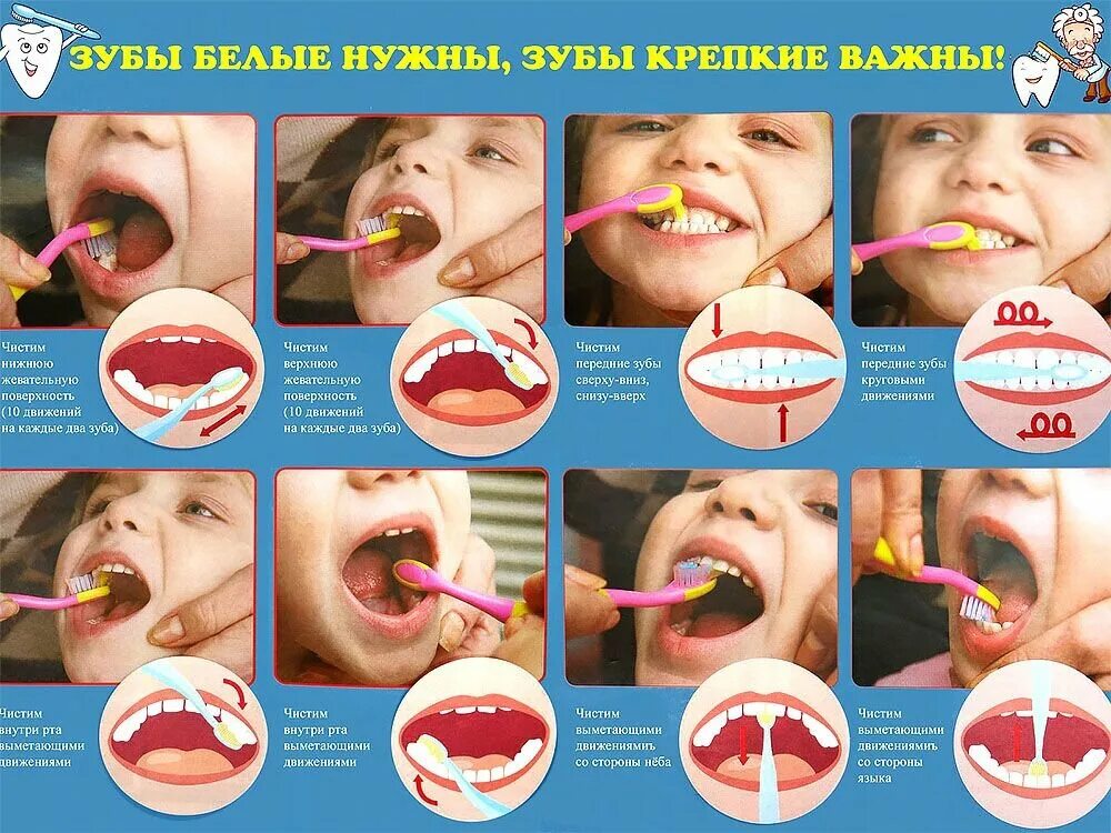 Обработка полости рта ребенку. Техника чистки зубов. Схема чистки зубов для детей. Правила чистки зубов для детей в картинках. Как правильно чистить зубы.