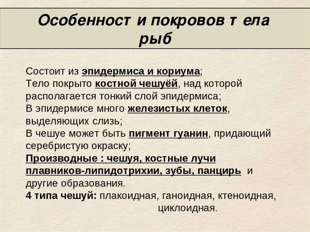 Костные рыбы особенности покровов тела. Костистые признаки. Строение циклоидной чешуи. Костная чешуя строение. Покровы рыб эволюция.