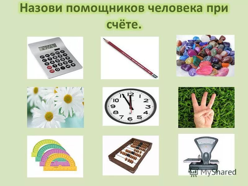 Какие бывают слова. Какие бывают слова 1 класс. Фабрика по пошиву одежды. Как называют помощников дома. Слова помощники.