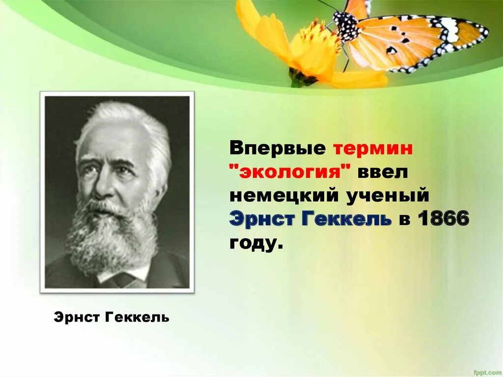 В каком году впервые. Эрнст Геккель термин экология. Экология Эрнест Геккель 1866. Термин экология ввел. Термин экология впервые был.