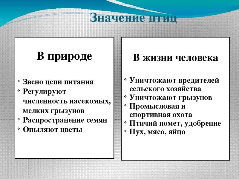 Значение птиц в природе конспект