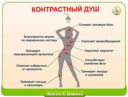 Полезно для души