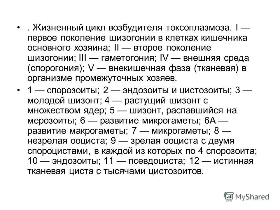 Жизненный цикл возбудителя. Токсоплазмоз жизненный цикл. Жизненный цикл токсоплазмоза УГМУ. Тканевая фаза токсоплазмоза спорогония. Кишечная фаза токсоплазмоза спорогония.