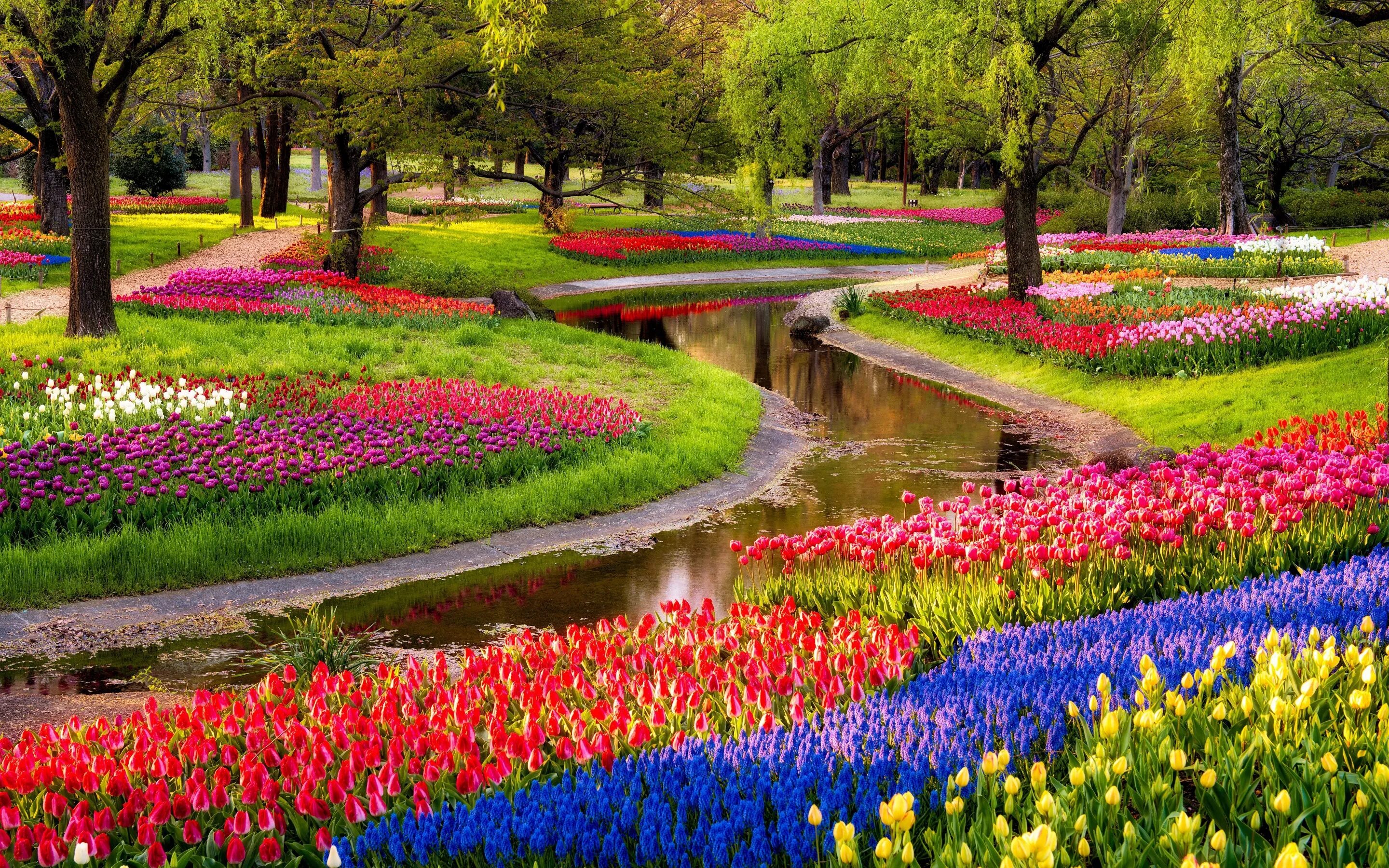 Bahor rasmlar. Keukenhof Gardens Нидерланды. Парк тюльпанов Кейкенхоф. Парк тюльпанов в Голландии Кекенхоф. Нидерланды парк цветов Кейкенхоф 2020.