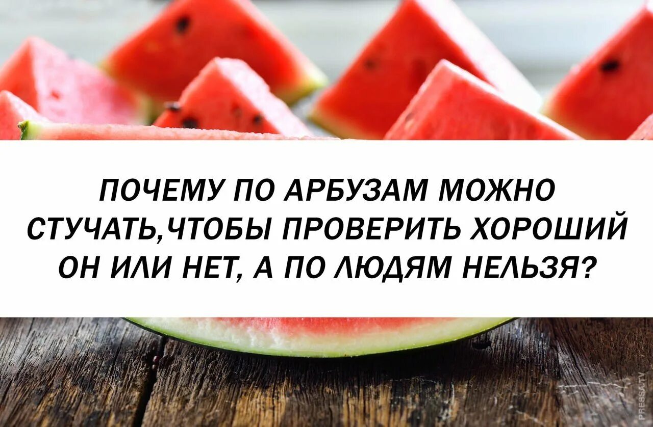 Зачем покупать если можно. Стучит по арбузу. Арбуз нельзя. Постучать по арбузу. Человек стучит по арбузу.