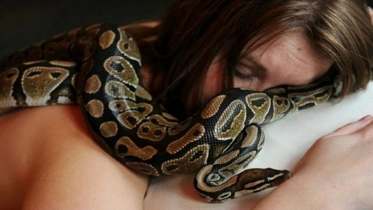 She is snake. Анаконда питон и женщина. Фотосессия со змеями. Девушка змея. Девушка с удавом.