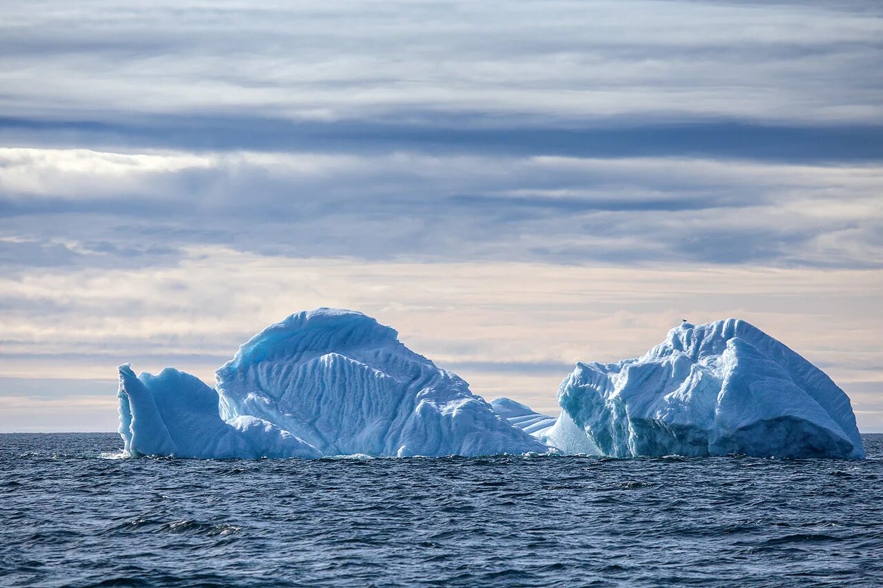 Гренландия какой океан. Айсберги Гренландии. Гренландия. Остров айсбергов.. Гренландское море. Гренландия океан.
