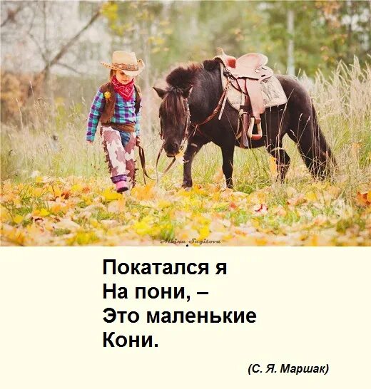 Предложения с словом конь. Покатался я на пони это маленькие кони. Предложение со словом пони. Предложение со словом конь. Предложение со словом лошадь.