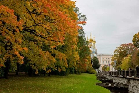 Царское село славы