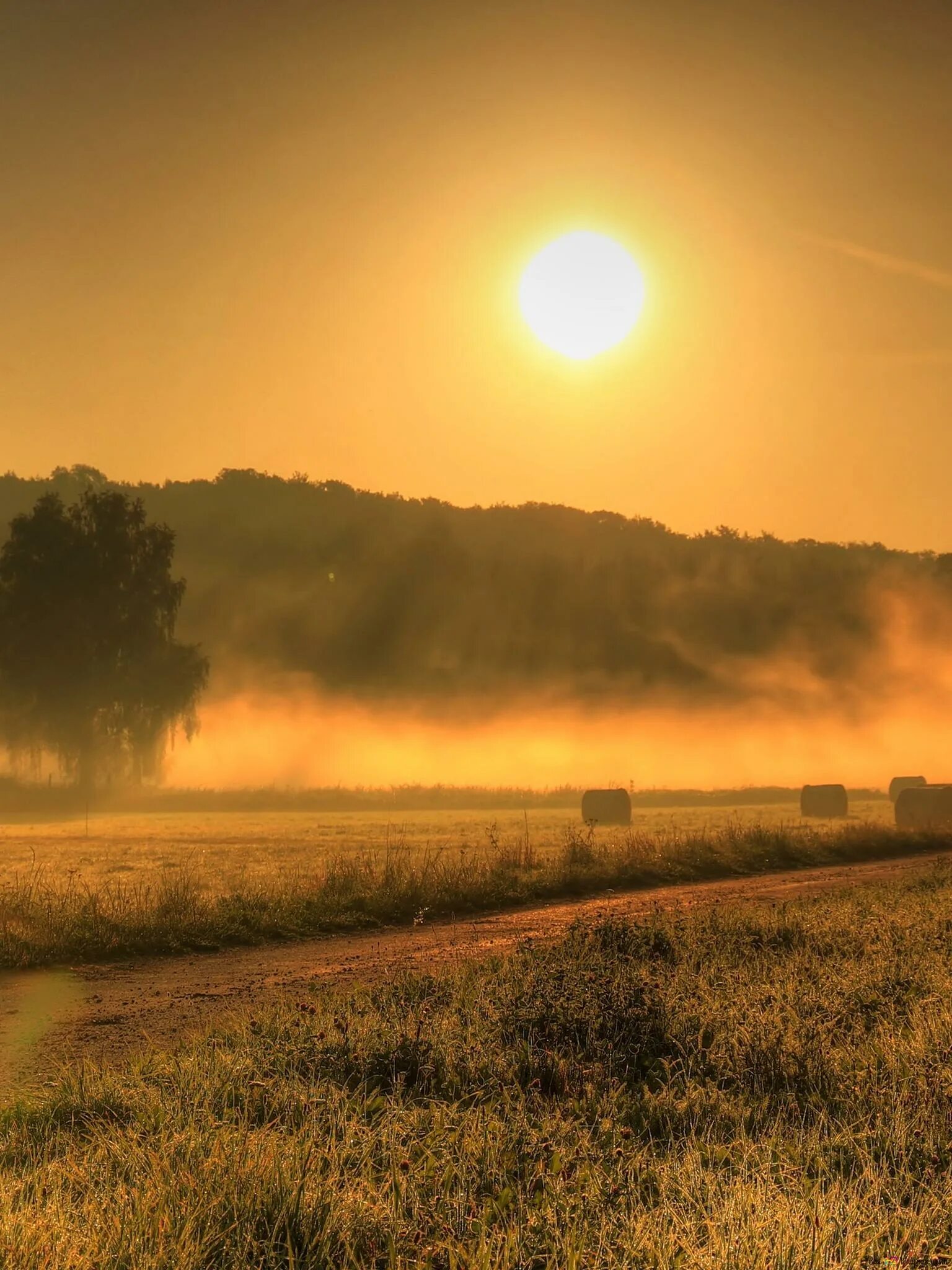 Сумеречные лучи. Рассвет солнца. Рассвет. Закат в поле. Sunset nature sun silhouette wallpaper.