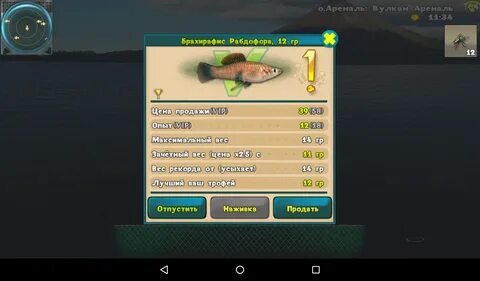 Fishing много денег