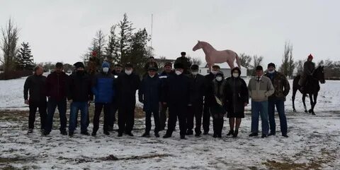 Погода в конезаводе