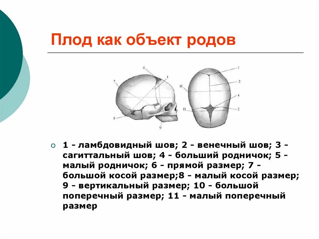 Измерение размеров головки плода. Размеры головки плода в акушерстве. Размеры головы плода Акушерство. Диаметры головки плода.