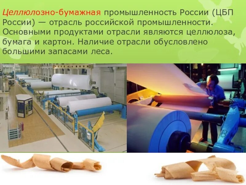 Целлюлозно-бумажный комбинат технология. Целлюлозно-бумажная промышленность. Целлюзнобумажная промышленность. Целлюлозно бумажная отрасль в России. Фактор производства бумаги