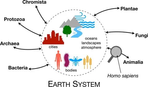 Earth system