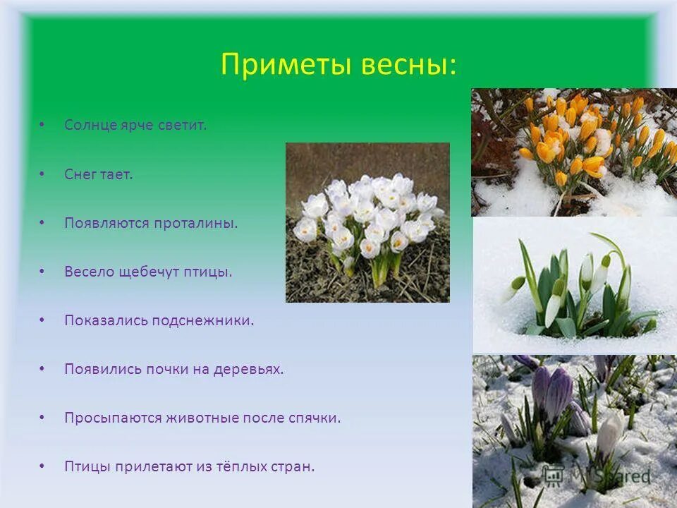 Какие дни весной ответ. Приметы весны. Весенние приметы. Народные приметы о весне.