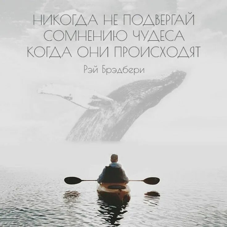 Там цитаты. Всего они происходят по. Всего они происходят по. Всего они происходят по. Желание иллюстрация.