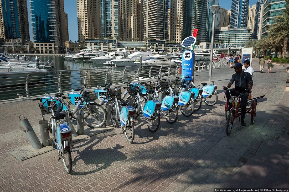 Быстро прокат. Велодорожки в Дубае. Велосипедная дорожка mushrif Park Dubai. Велосипеды в Дубае. Городские велосипеды в Дубае.