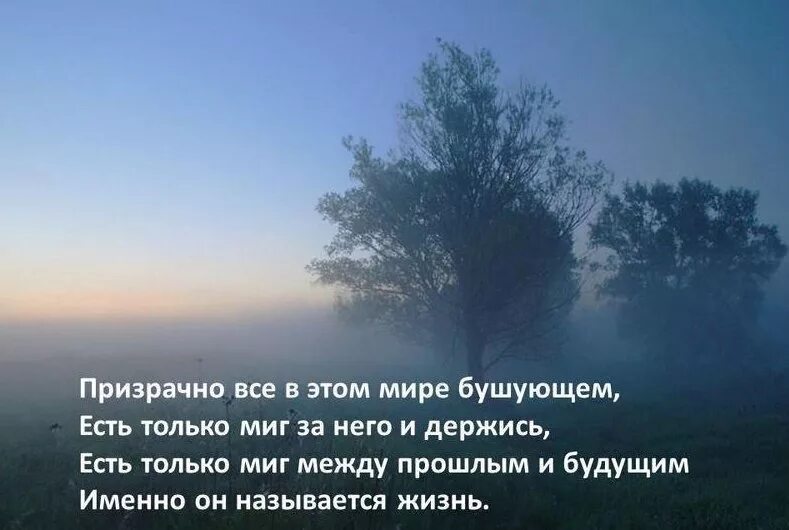 Именно в этот день год назад. Цитаты сергея бодрова младшего про любовь. Каждый человек живет в своем мире. Уходит год стихи. Есть только миг между прошлым и будущим именно он называется жизнь.