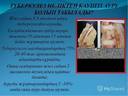 Вагондағы порно видео