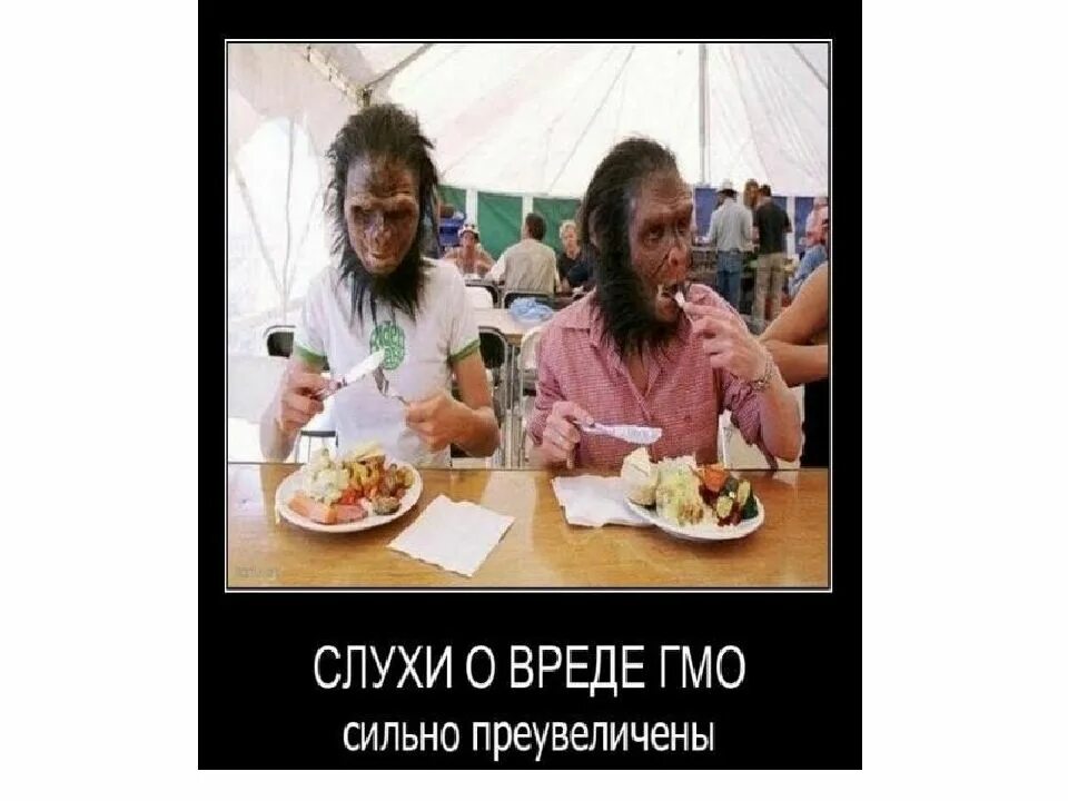 Генетически модифицированные люди. Генно модифицированные люди. генномодифицированные люди среди нас.