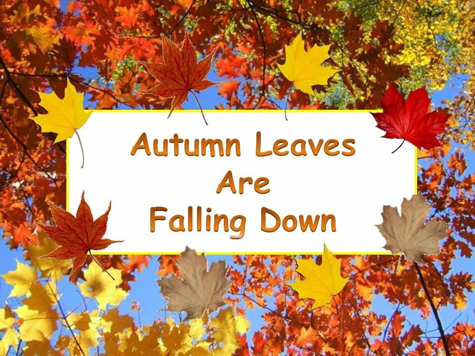 In autumn it is often. Осень по английскому. Осенние листья на английском. Осенний лист на английском языке. Золотая осень на английском.