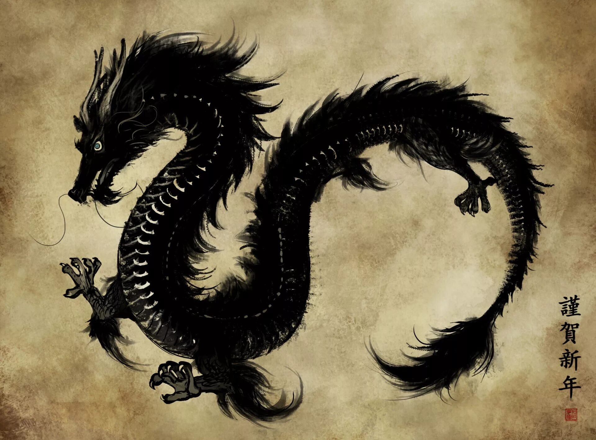 Обои черный дракон. Восточный дракон Сюаньлун. Черный Сюаньлун. Мидзути Речной дракон. Дракон Блэк драгон.