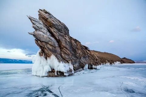 Кобылья голова