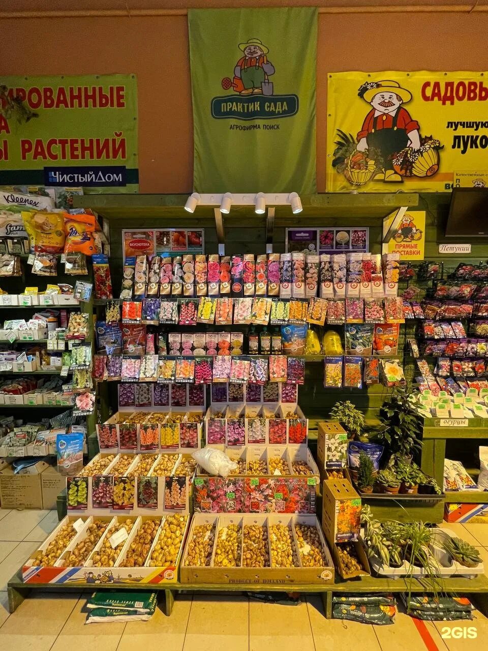 Малая оранжерея в летнем саду. Интернет магазин сад спб. Магазин практик сада в металлострое. Оранжерея в летнем саду в санкт-петербурге. Интернет магазин сад спб.