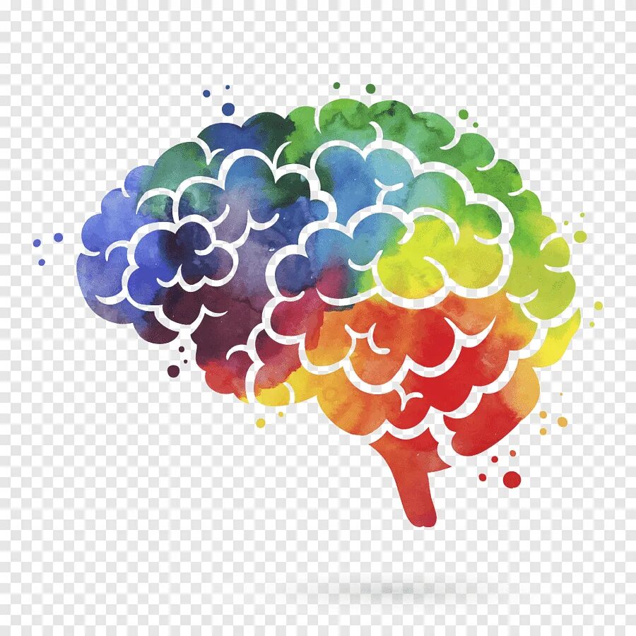 Colored brains