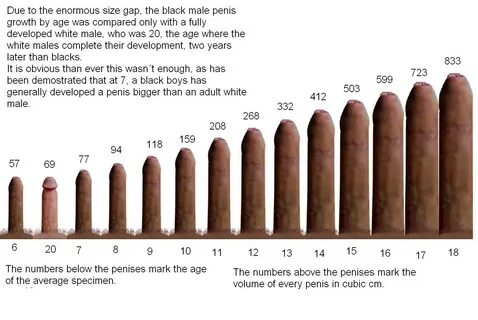 Average penis size asian