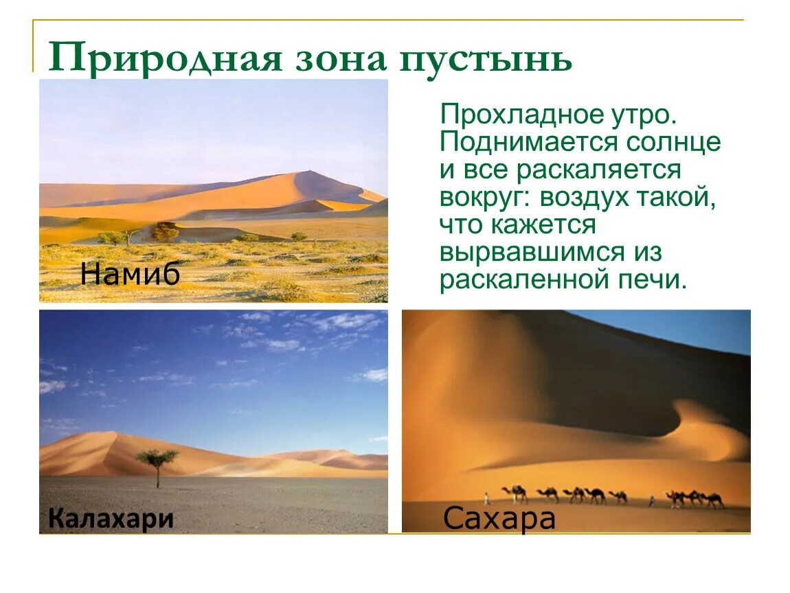 Пустыня краткое описание природной зоны