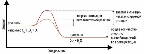 Мощная кратковременная реакция