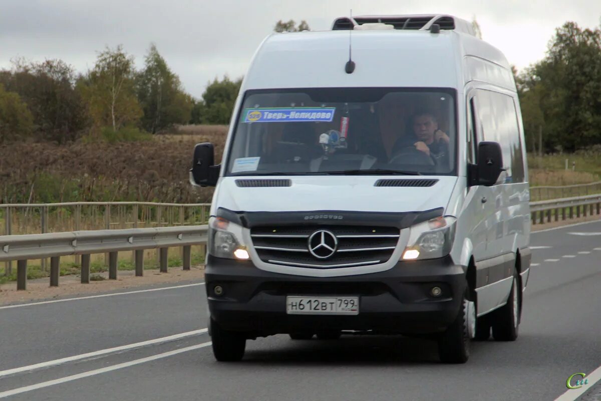 Ржев тверь автобус купить. Mercedes-Benz 223602. Mercedes Луидор 223602. Луидор 2236. Мерседес-Бенц 2236с7.