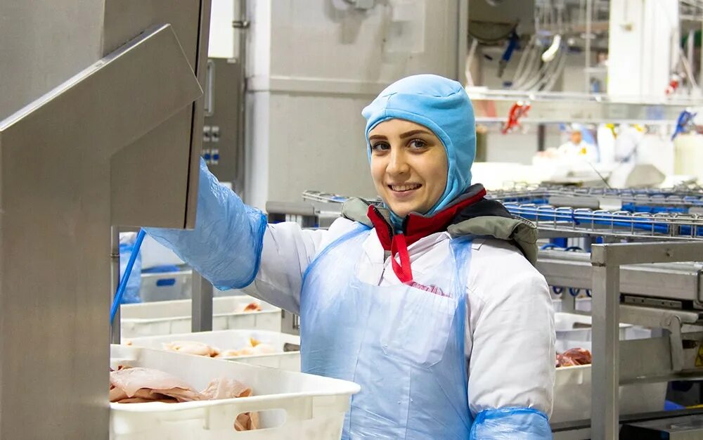 мираторг отзывы работников. завод мираторг в курске. кулинич ольга ивановна мираторг. завод мираторг брянский бройлер. мираторг курск черницыно.