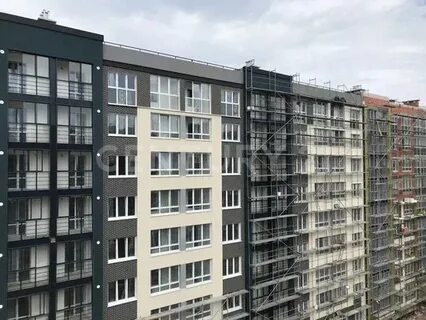 Новгородская улица калининград