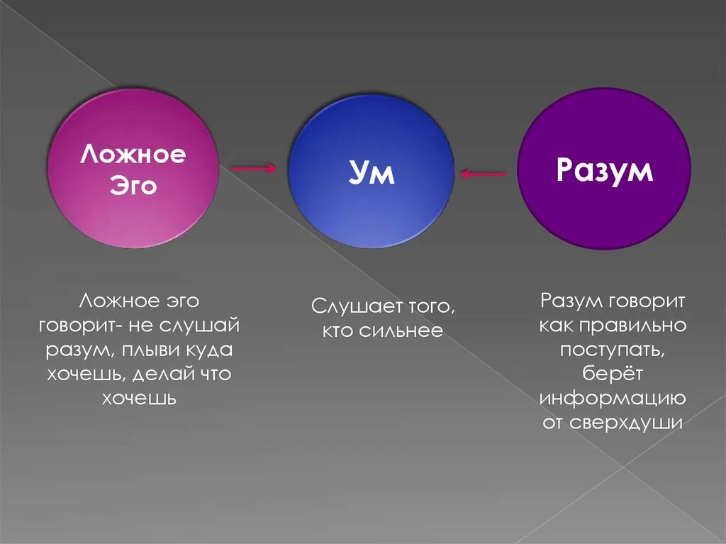 Он отличается большой и состоит из. Ум разум ложное эго. Ум и разум различия. Ложное эго и истинное эго. Ум разум интеллект отличия.