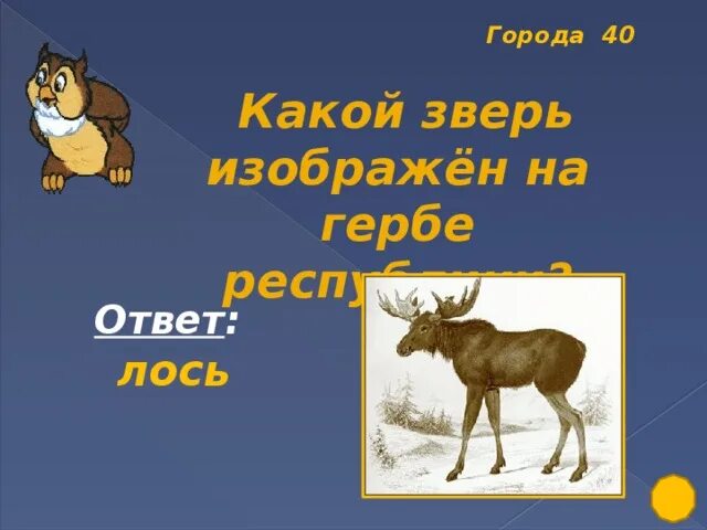 Загадка про лося для детей. Какой был зверь 2011. Какие года животных. Какой зверь 2018.