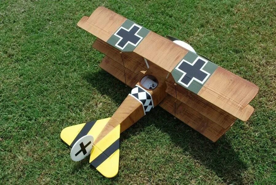 V1 model