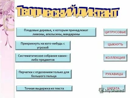 Краткая выдержка из текста