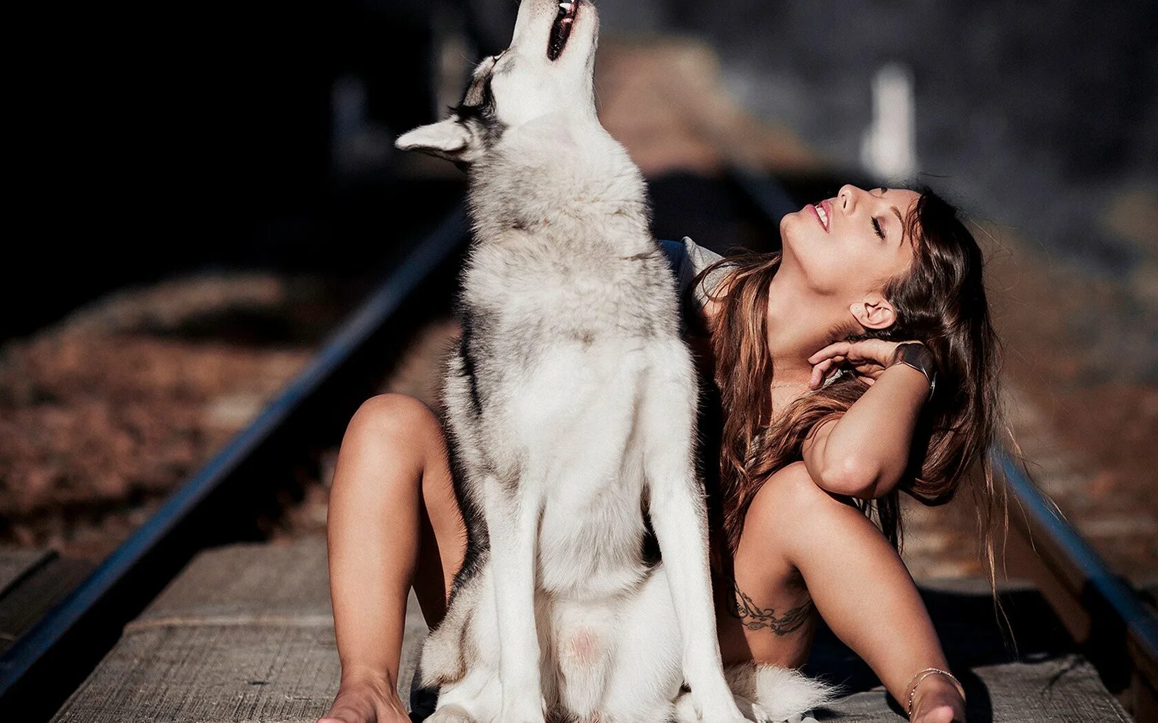 Серый волк Mia Boyka. Девушка с волком. Девушка с волком фотосессия. Девушка с собакой.