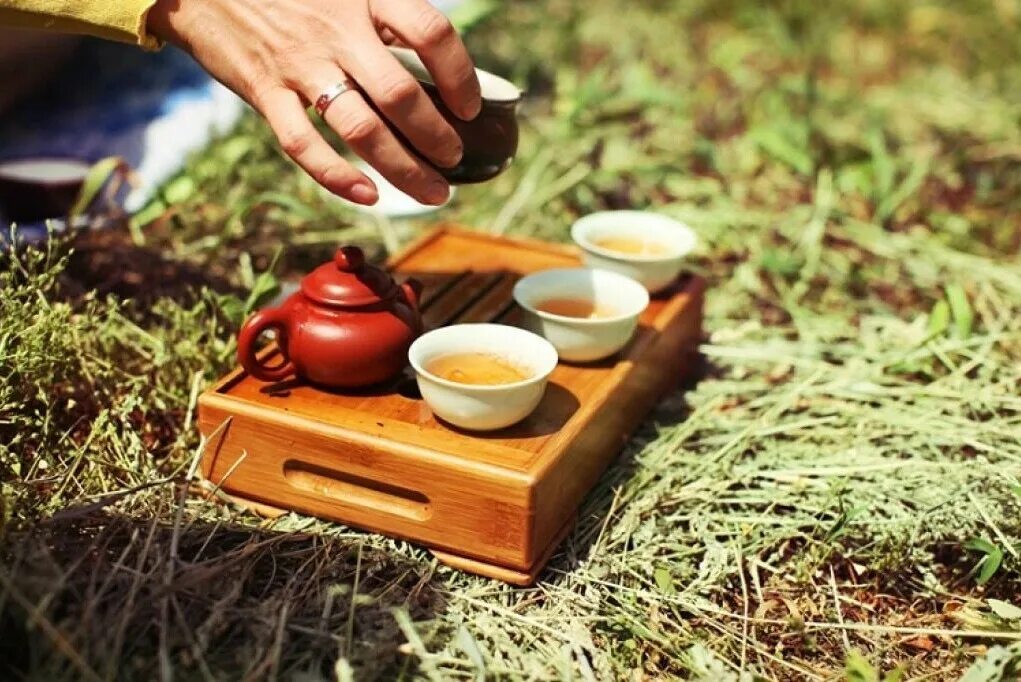 Чайная церемония в парке галицкого. Чайная церемония на природе. Чаепитие на природе. Чай на природе. Летнее чаепитие.