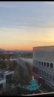 Сильно симпатизировать