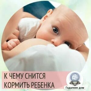 Сонник кормить мужа