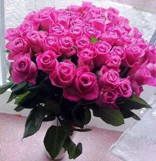 Розовые розы 12