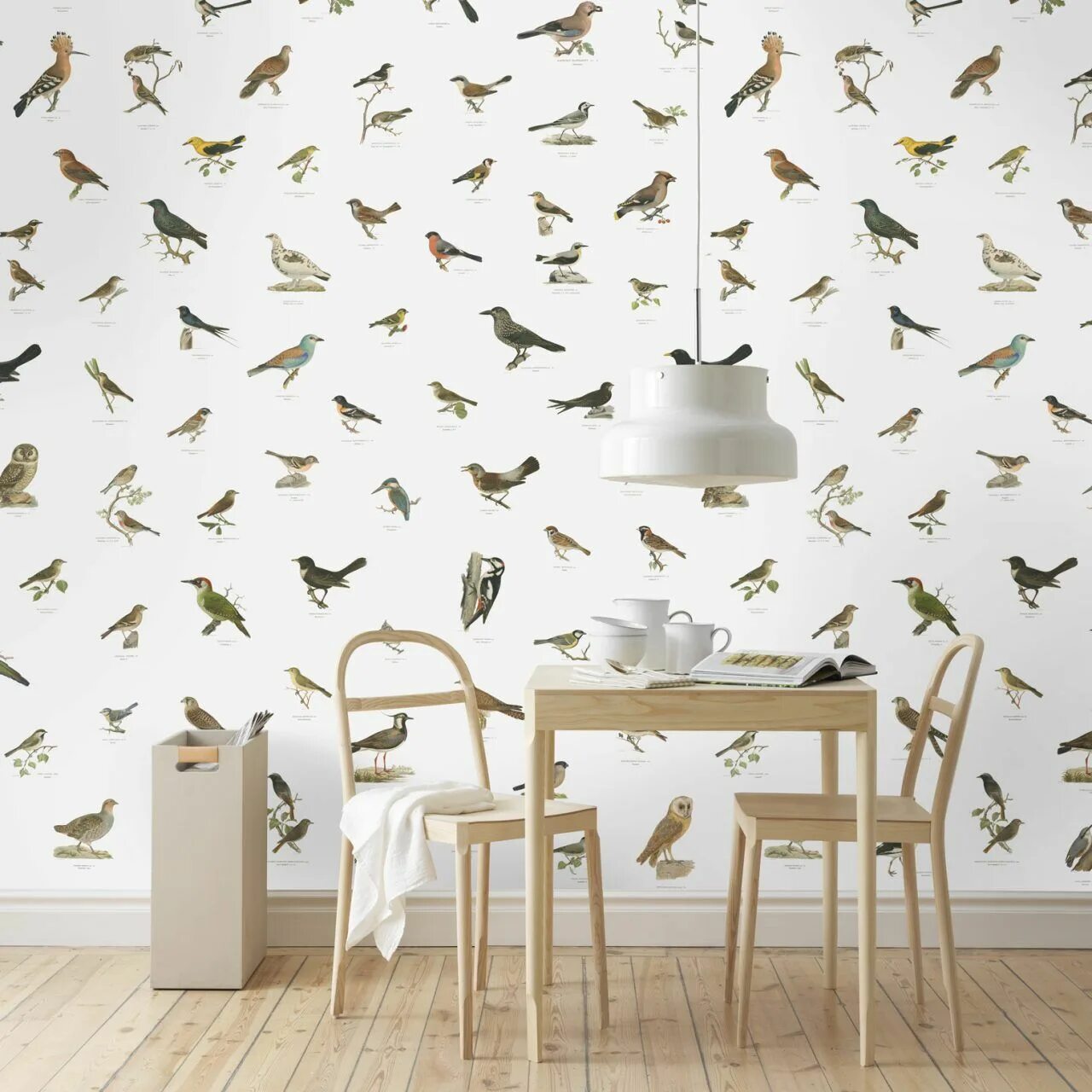 Room bird. Обои настенные. Птички в интерьере. Наклейки на стену птицы. Комната с птичкой.