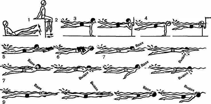 Сухое плавание кроль. Кроль на спине техника плавания. Техника плавания кролем на груди. Кроль на спине плавание. Кифута для кроля.
