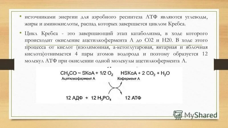 Ресинтез атф может осуществляться в реакциях протекающих. Аэробный механизм ресинтеза атф. источники энергии для аэробного ресинтеза. источник энергии для мышечной работы биохимия. аэробным путем ресинтеза атф является.