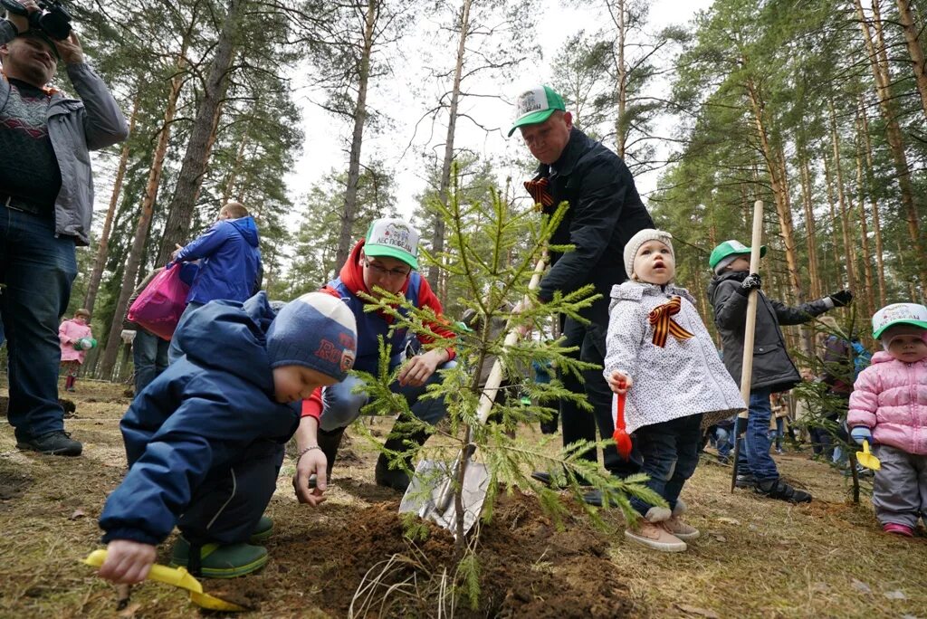 Высадка деревьев леса. Посадка леса. Лес Победы экологическая акция. Акция лес Победы Подмосковье. Конкурс чалавек свайго лесу