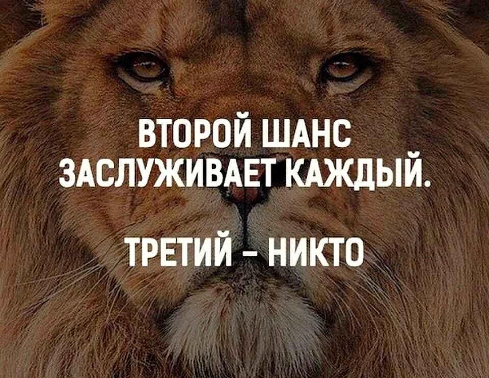 Второй шанс дракону простить или прибить аудиокнига. Второй шанс дракону простить или прибить аудиокнига. Предательство фэнтези. Милость королей книга. Книга выбираю тебя.